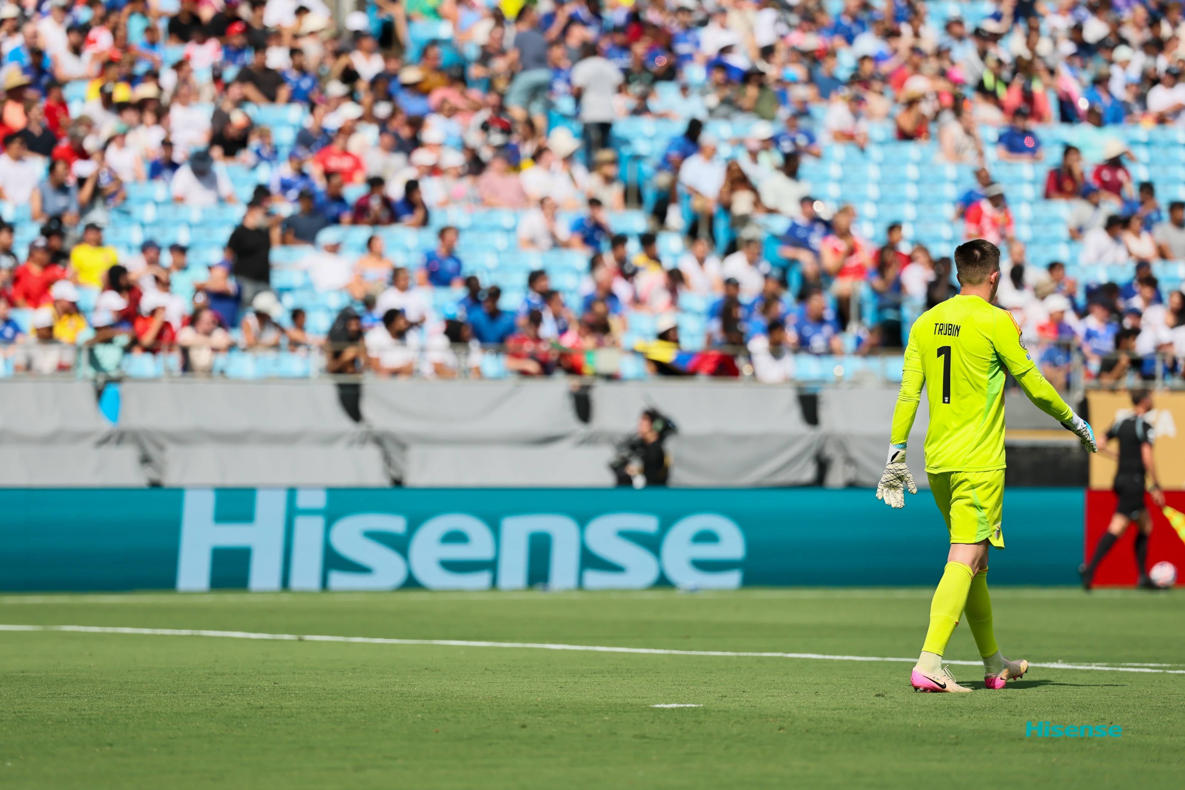 切尔西主场一球小胜诺维奇,保住领头羊位置 切尔西主场一球小胜诺维奇,保住领头羊位置