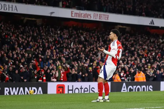 阿森纳悍将受伤,恐无缘欧洲杯出战 阿森纳悍将受伤,恐无缘欧洲杯出战