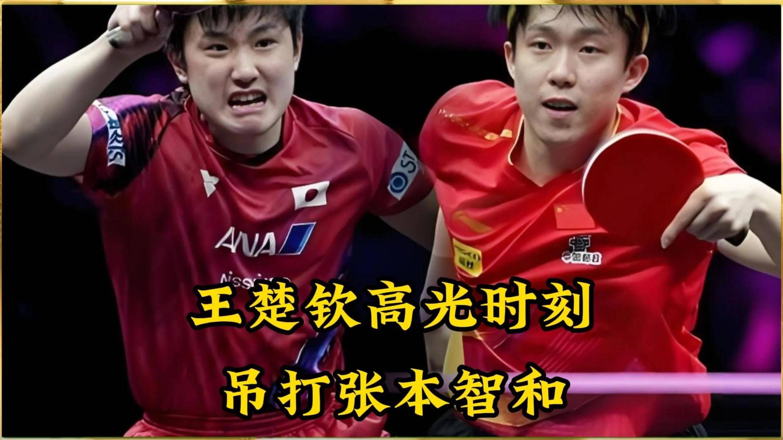 波兰队完胜中国队，张本智和带队取胜的简单介绍