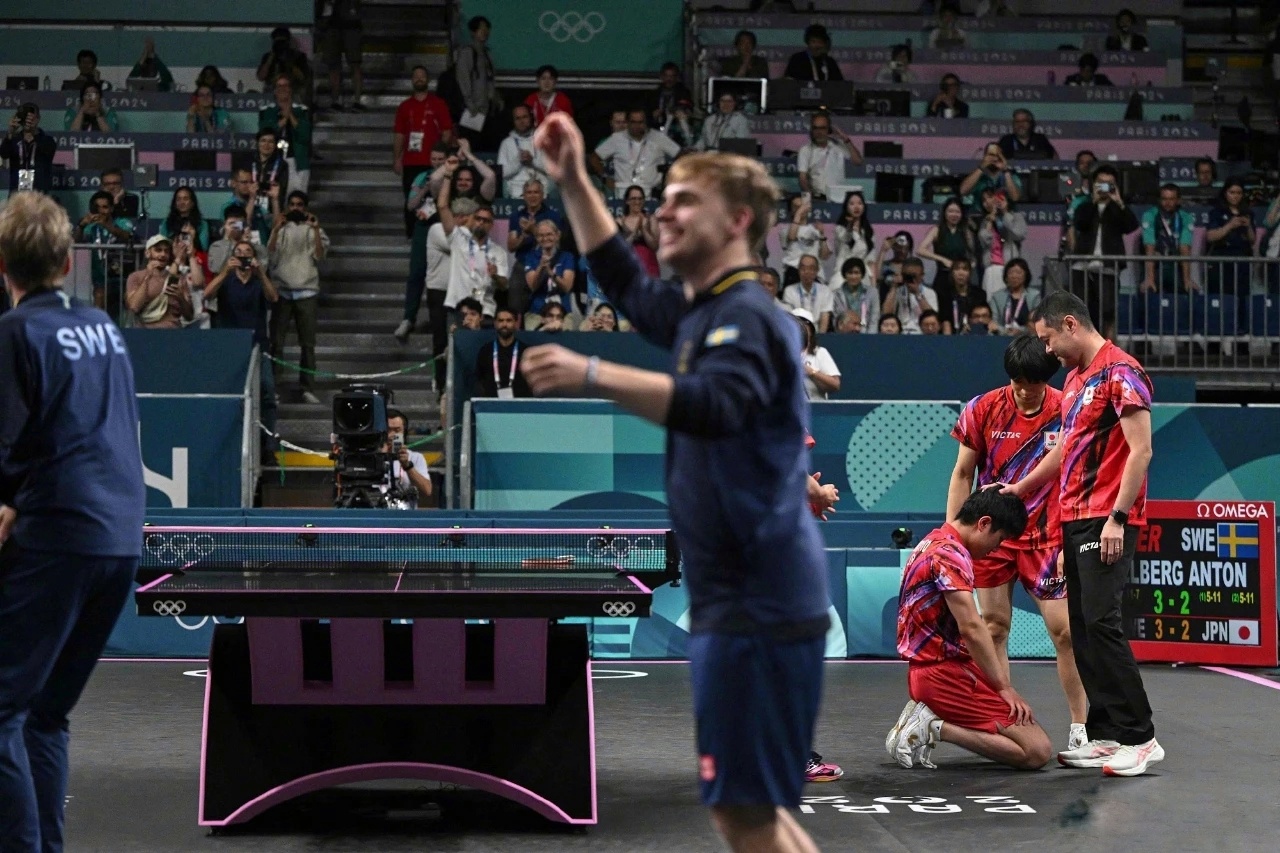 包含英格兰队横扫法国队，张本智和惊艳四座的词条