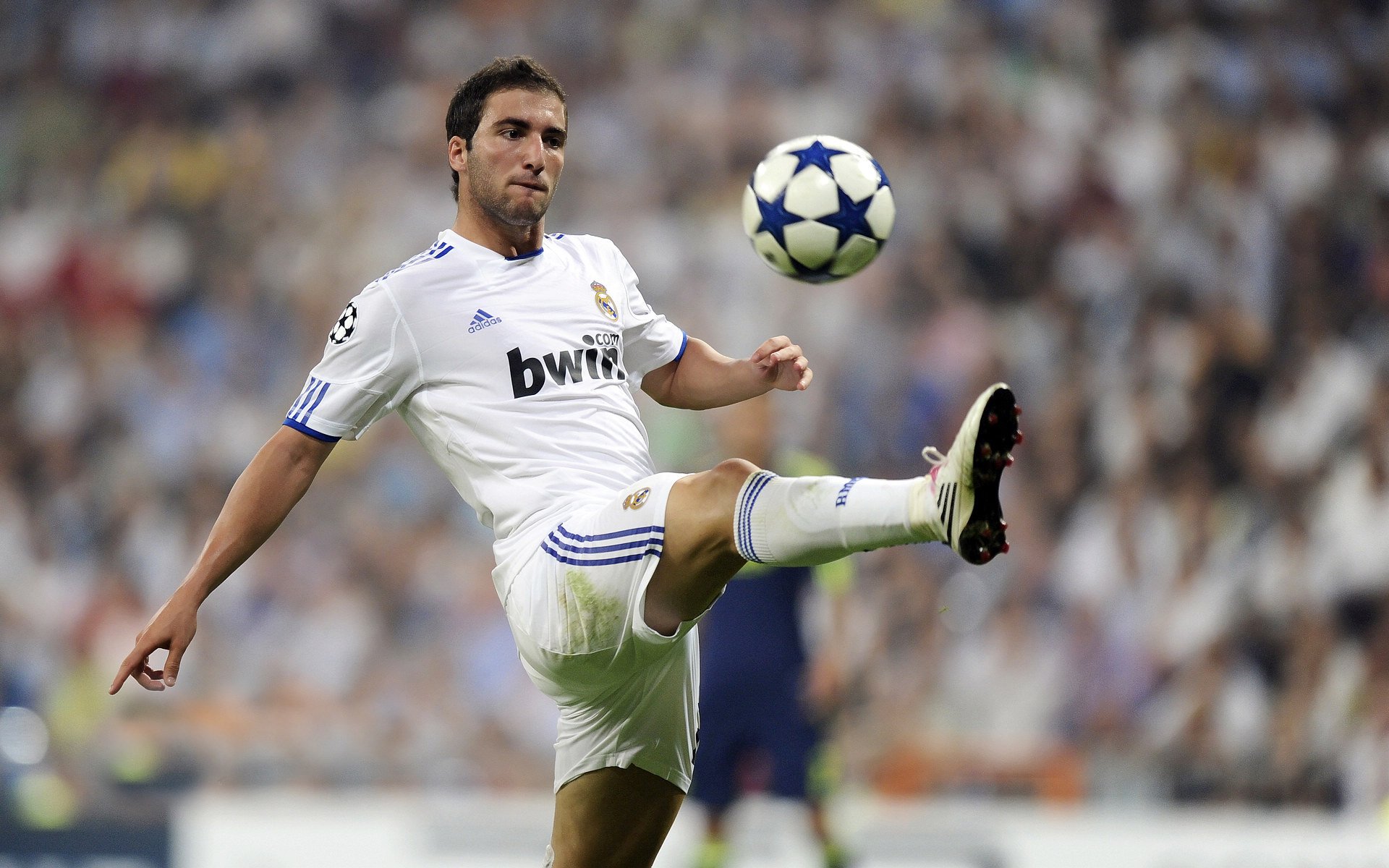 刺客在午夜醒来，欧文的关键战冷血美学